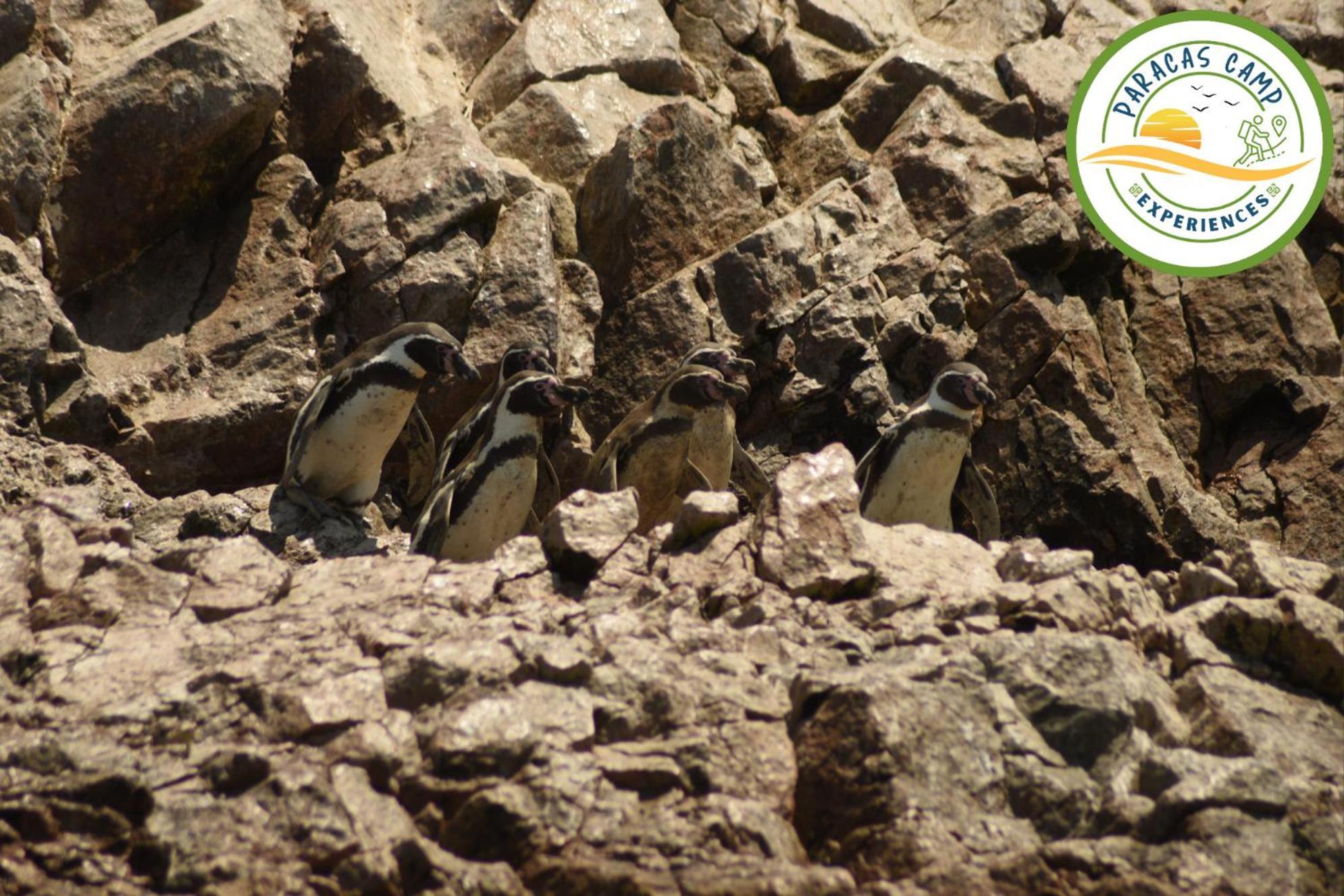 Paracas Camp Lodge & Experiences 외부 사진