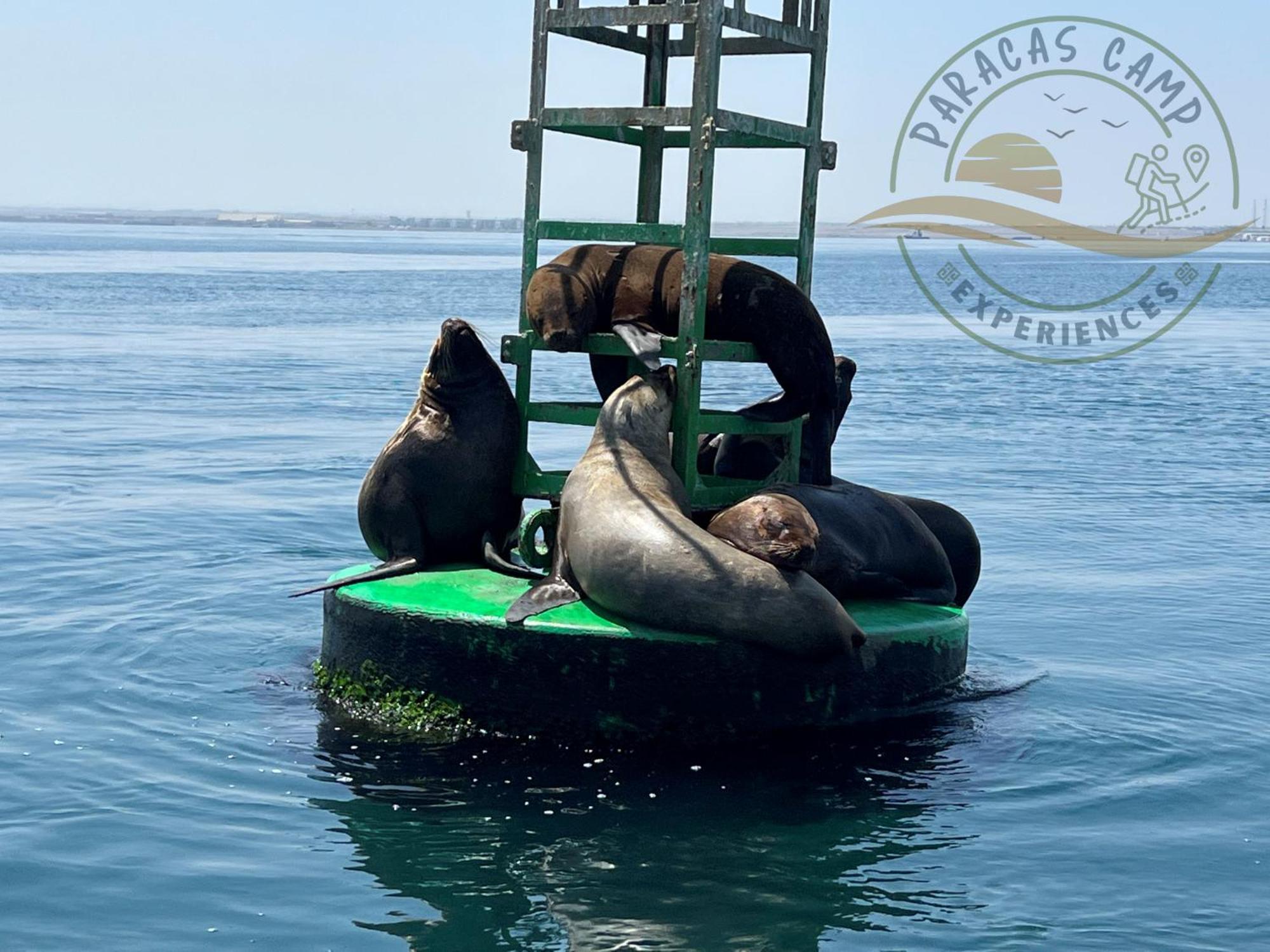Paracas Camp Lodge & Experiences 외부 사진