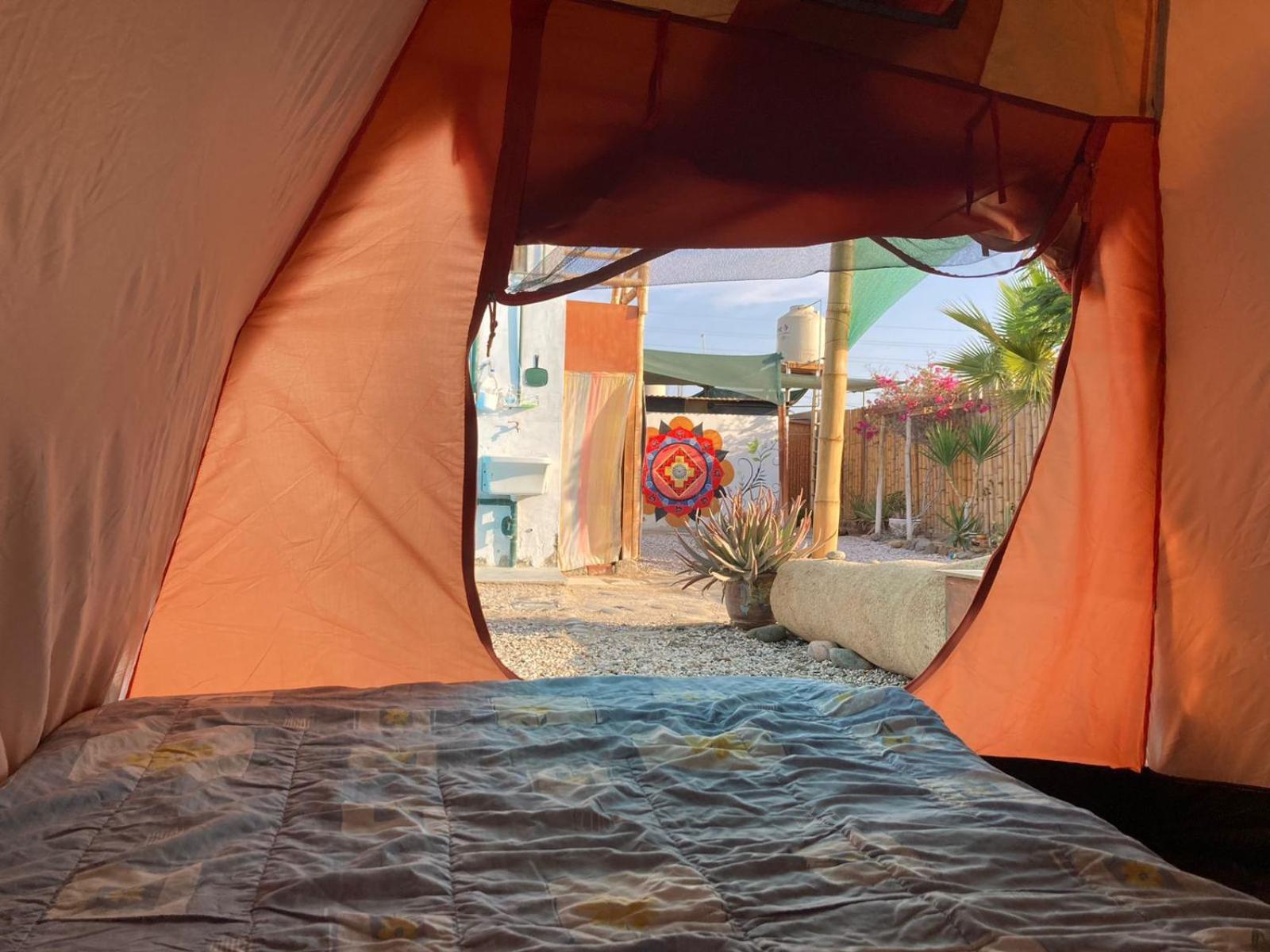 Paracas Camp Lodge & Experiences 외부 사진